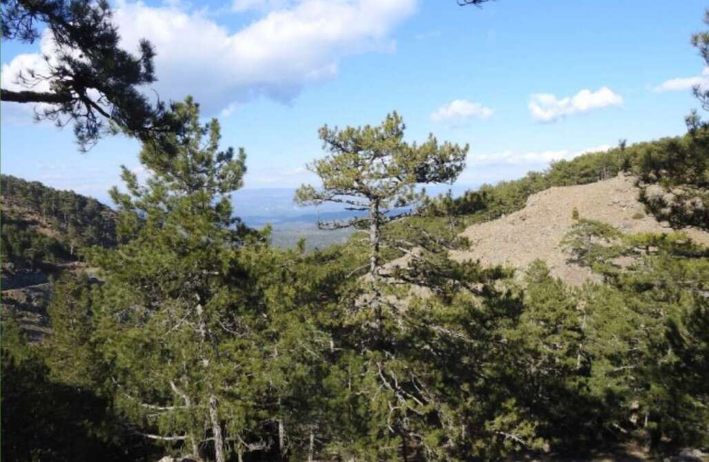 Muğla’da 180 Kişiye İstihdam Sağlayacak Gaia RES Projesine ÇED Onayı 3